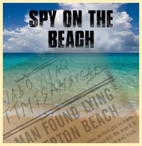 ADL-Spy-on-the-beach-20161021